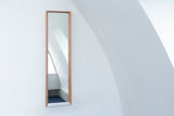 Trim Mirror / H110